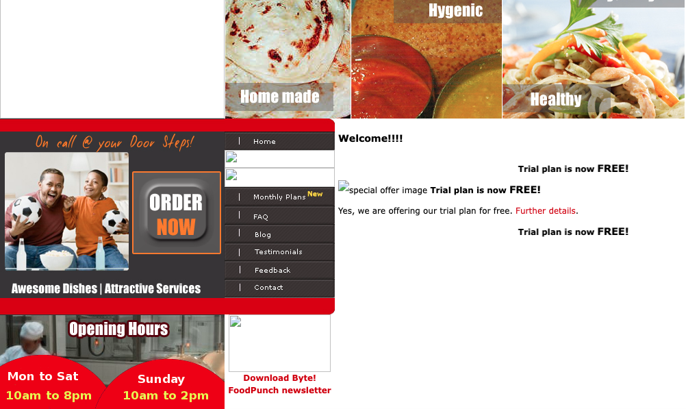old foodpunch website